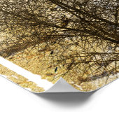 Poster Desert Wheelie (Coin)