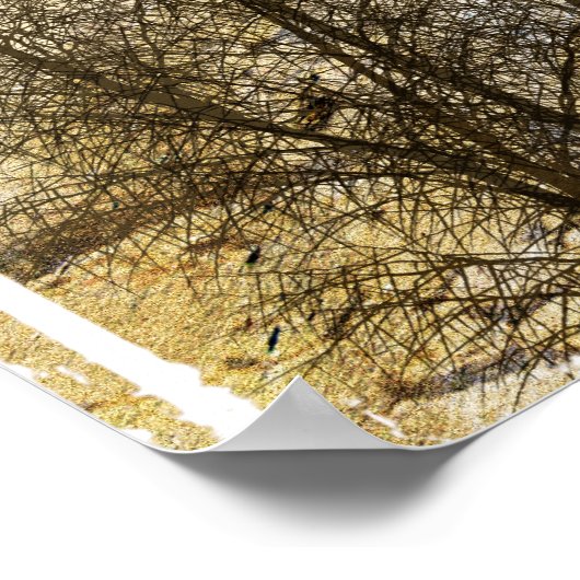 Poster Desert Wheelie (Coin)