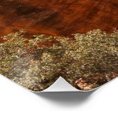 Poster Déserts aux Etats-Unis Paysage désertique phot (Coin)