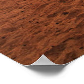 Poster Deserts | Bactrian Camel Egypt Sand Dune (Coin)