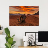 Poster Deserts | Bactrian Camel Egypt Sand Dune (Bureau à domicile)