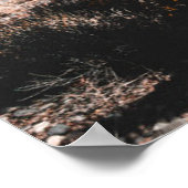 Poster Deserts | Cholla (Coin)