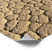 Poster Deserts | Cow Skull on the Desert Ground (Coin)