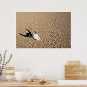 Poster Deserts | Cow Skull on the Desert Ground (Cuisine)