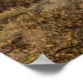 Poster Deserts | Superstition Mountains, Arizona (Coin)