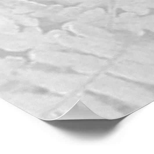 Poster Desiderata (Coin)