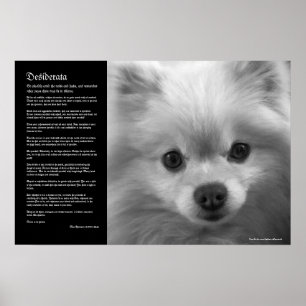 Poster Desiderata - Art fine Chiot Poméranien