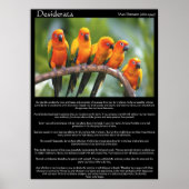 Poster Desiderata cinq canari orange et vert (Devant)