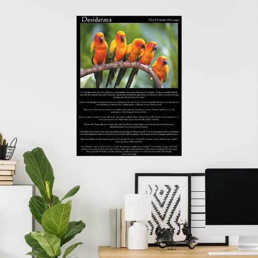 Poster Desiderata cinq canari orange et vert (Bureau à domicile)