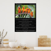 Poster Desiderata cinq canari orange et vert (Cuisine)