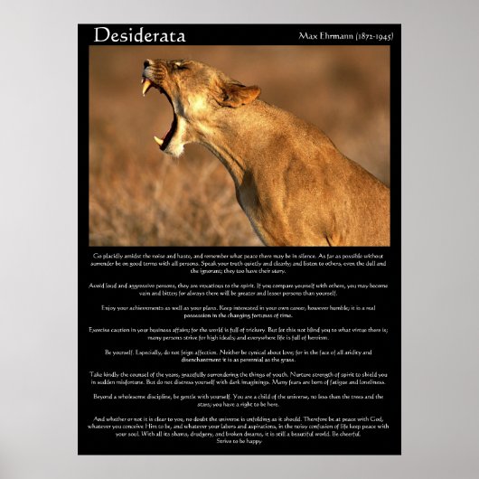 Poster Desiderata cougar montrant ses dents (Devant)