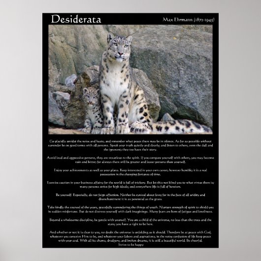 Poster Desiderata deux guépards dans la montagne (Devant)