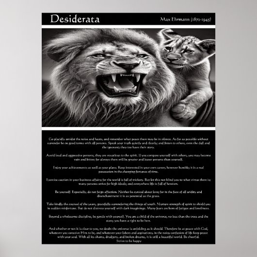 Poster Desiderata : Echos de Kin (Devant)