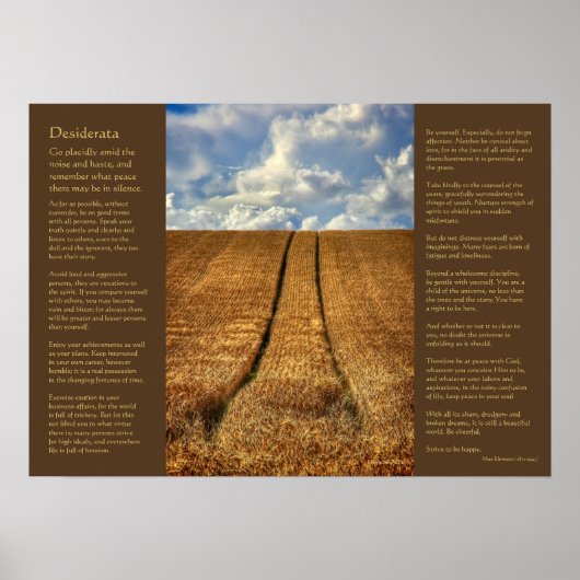 Poster Desiderata - Été et mort (Devant)