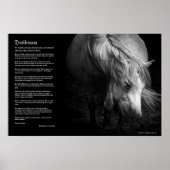 Poster Desiderata - Fine Art Pony Head et Mane (Devant)