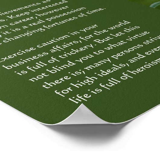 Poster Desiderata - Garçon avec Spring Posy, statue de ja (Coin)