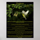 Poster Desiderata Hummingbird avec bébés (Devant)