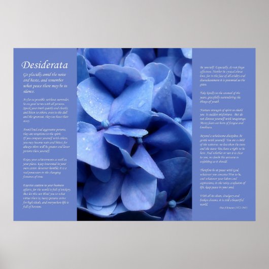 Poster Desiderata - Hydrangea bleu (Devant)