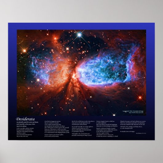 Poster Desiderata - Naissance étoile en Cygnus, Le Cygne (Devant)