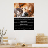 Poster Desiderata Peaceful Company : Kitten et Chien (Cuisine)