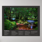 Poster Desiderata Poem - Quietly Flows The River (Devant)