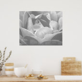 Poster Desiderata - Rose de texture satinée en noir et bl (Cuisine)