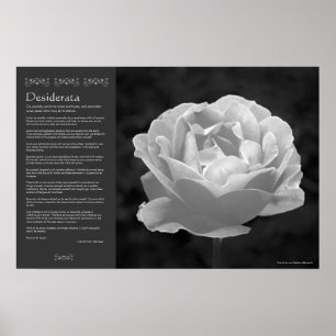 Poster Desiderata - Rose en noir et blanc