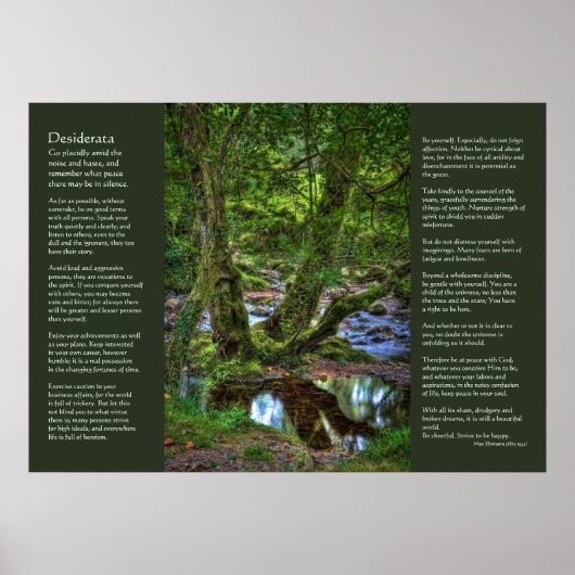 Poster Desiderata - Spitchwick Creek Trees (Devant)