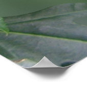 Poster Desiderata sur la photo du papillon de l'aile zébr (Coin)