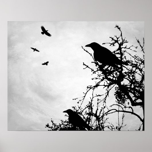 Poster Design 43 corbeau corneille (Devant)