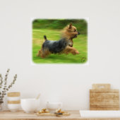 Poster Design australien Silky Terrier (Cuisine)
