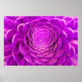 Poster Design de fleur de cactus (Devant)