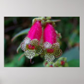 Poster Design de fleurs léopard (Devant)