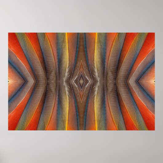 Poster Design de la plume Scarlet Macaw (Devant)