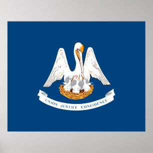 Poster Design de Louisiana State Flag