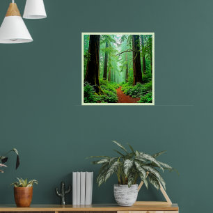Poster Design de tranquillité de la forêt de Redwood