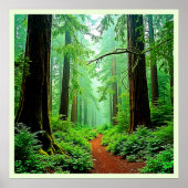 Poster Design de tranquillité de la forêt de Redwood (Devant)