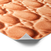Poster Design en cuir de reptile orange (Coin)