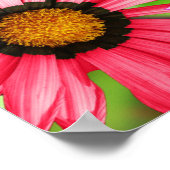 Poster Design fleuri gerbera coloré (Coin)