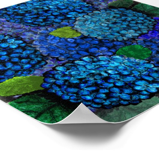 Poster Design floral, Blue Hydrangea Print (Coin)