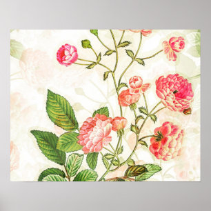 Poster Design floral rose Vintage simple  