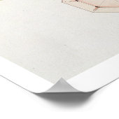Poster Design for a pavilion in simfied style oriental (Coin)