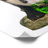 Poster design Panda (Coin)