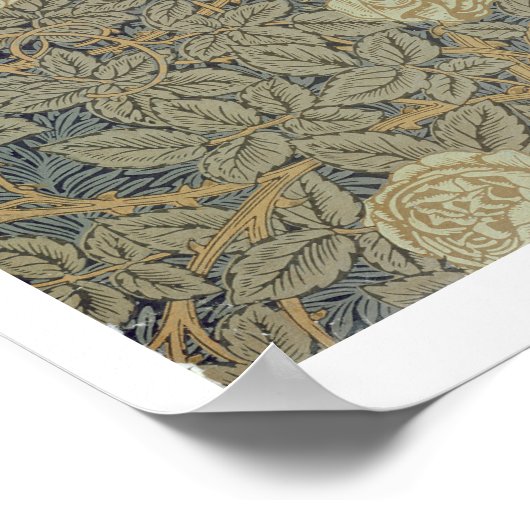 Poster Design "Rose" (Coin)