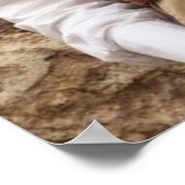 Poster Design Villanelle (Coin)