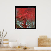 Poster Desolation Canyon Utah (Cuisine)