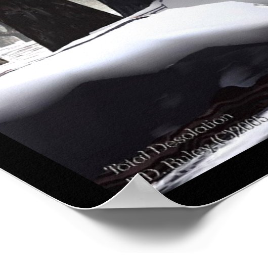 Poster Désolation totale (Coin)