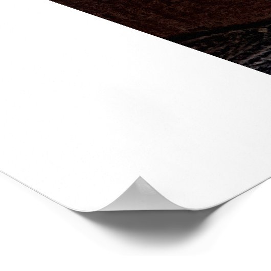 Poster Desperado/Imprimer (Coin)