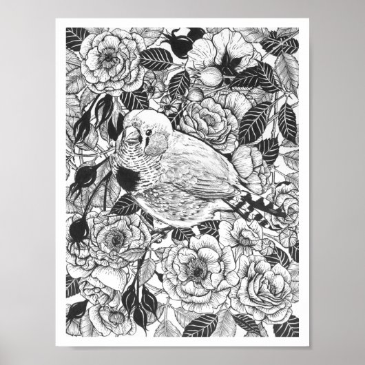 Poster Dessin à encre de buisson Zebra et rose (Devant)