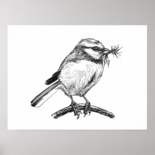 Poster Dessin à l'encre de mésange bleue